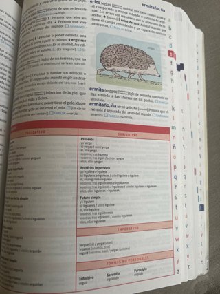 Diccionario básico de la lengua Española primaria