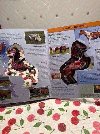 Libro sobre caballos