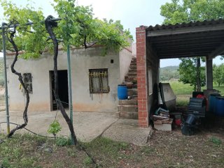 Finca de 32000m2 con casa