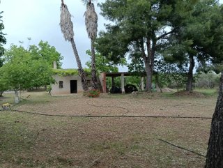 Finca de 32000m2 con casa