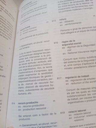 Diccionari relacions laborals