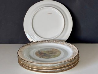 🇫🇷 Platos Aves Caza llanos Porcelana