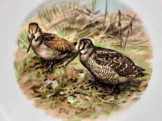 🇫🇷 Platos Aves Caza llanos Porcelana