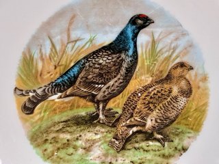 🇫🇷 Platos Aves Caza llanos Porcelana