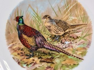 🇫🇷 Platos Aves Caza llanos Porcelana