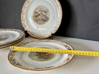 🇫🇷 Platos Aves Caza llanos Porcelana