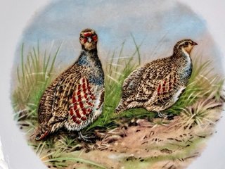 🇫🇷 Platos Aves Caza llanos Porcelana
