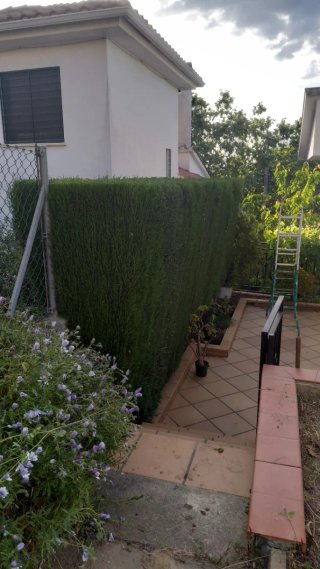 Se realiza trabajos  de jardineria.