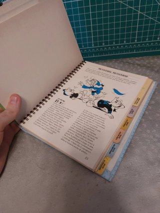 Due manuali Walt Disney, Mondadori