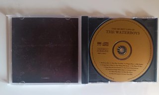The Waterboys: The Secret Life of the Waterboys