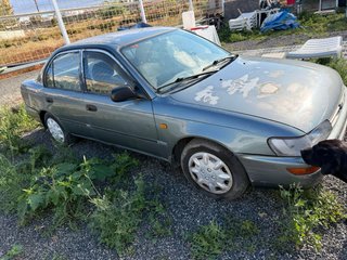 Toyota Corolla 1996