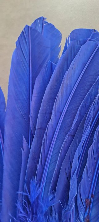 Set di 24 penne colorate per artigianato, carnevale o feste