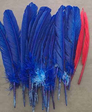 Set di 24 penne colorate per artigianato, carnevale o feste