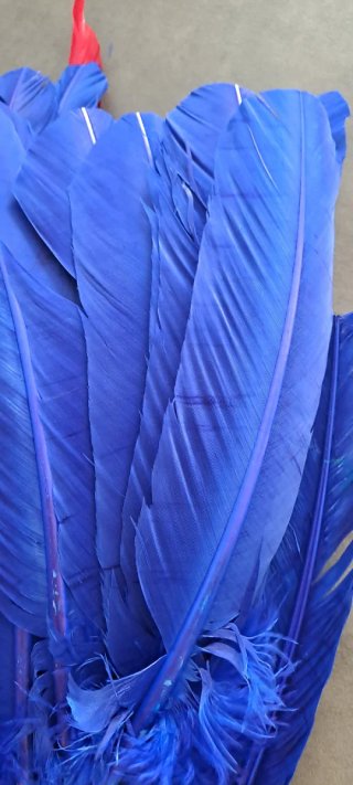 Set di 24 penne colorate per artigianato, carnevale o feste