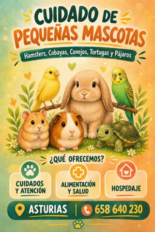 Cuidado de pequeñas mascotas