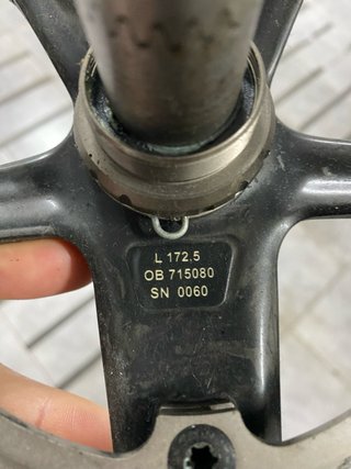 Bielas Campagnolo Chorus carbon Platos 52/39