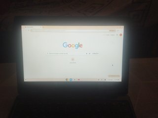 ASUS Chromebook Gris 11.6