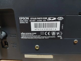 Impresora Epson Stylus Photo R300
