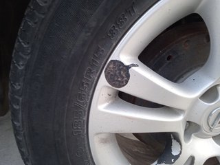 Despiece Opel corsa d (S07) 1.4 (L08, L68) Gasolin