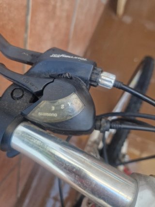 Bicicleta Zeus Flexium Vintage