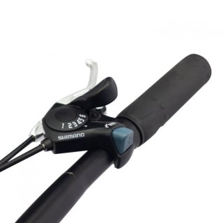 Bicicleta Eléctrica Plegable SmartGyro