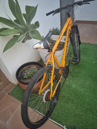 Bicicleta de Montaña  le falta una puesta a punto