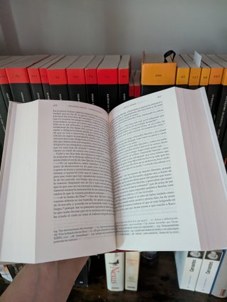 Don Quijote de la Mancha. Edición RAE / Don Qui...