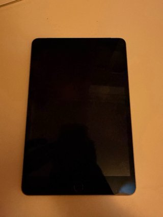 iPad mini 4 128GB WiFi + SIM Gris Espacial