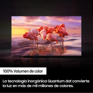 Samsung QLED 65 TV
