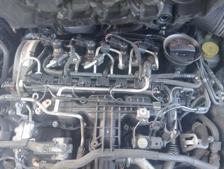 Volkswagen Polo 2010