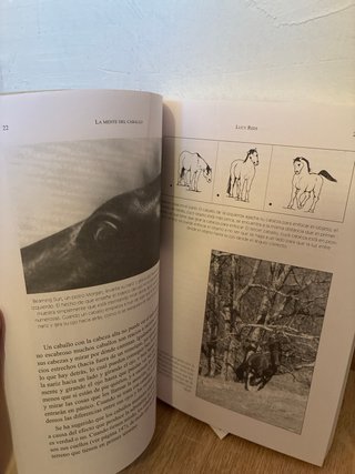La Mente del caballo