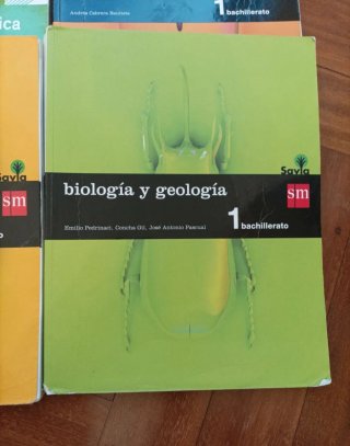 Lote libros 1° Bachillerato