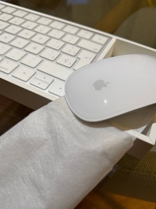 Teclado Apple y Mouse