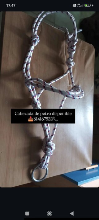 Cabezada de potro de cuerda