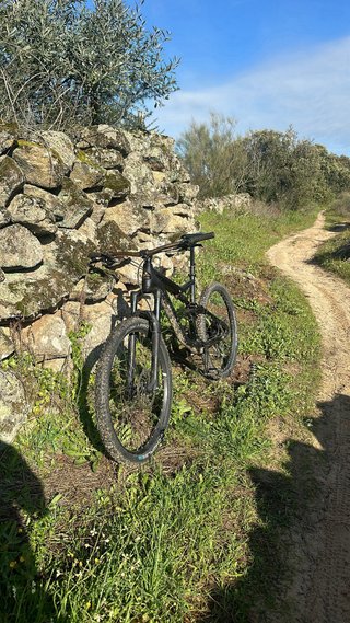Bicicleta Bulls