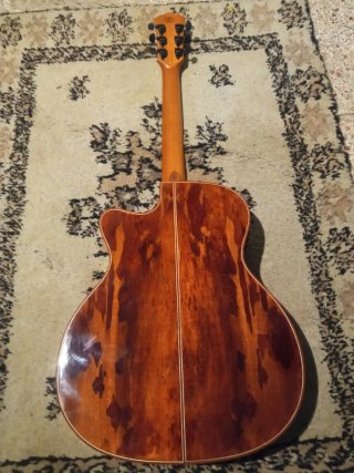 Washburn WG55CE Comfort Series Guitarra