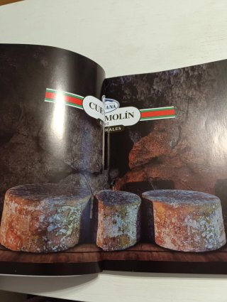 Libro Chefs asturianos cocinan con nuestros quesos