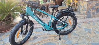 Bicicleta eléctrica ENSGUE F26