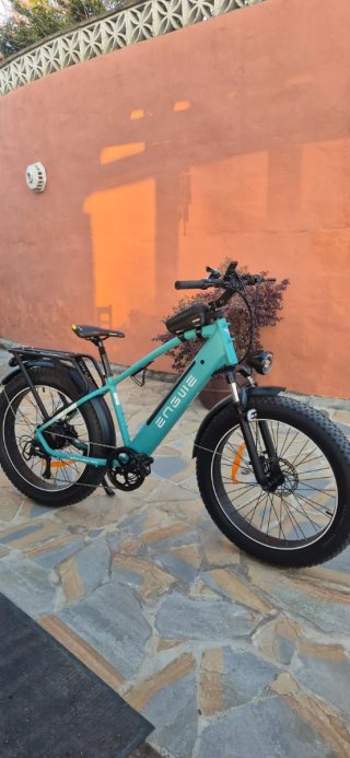 Bicicleta eléctrica ENSGUE F26
