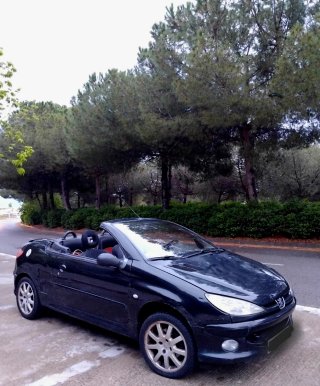 Peugeot 206 Cabrio 2004