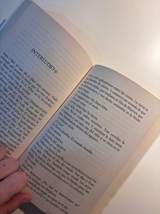 Libro La ultima bruja de Mayte Navales