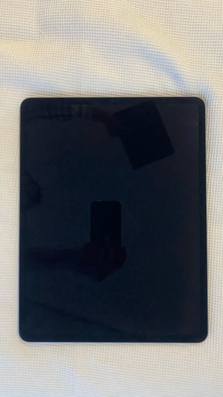 iPad Pro 12.9 4ª Gen 256GB Plata