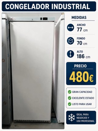 Congelador Industrial Diverso 77x70x186cm