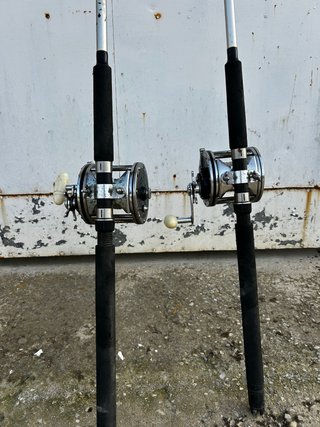 2 Canne da Pesca con Mulinelli