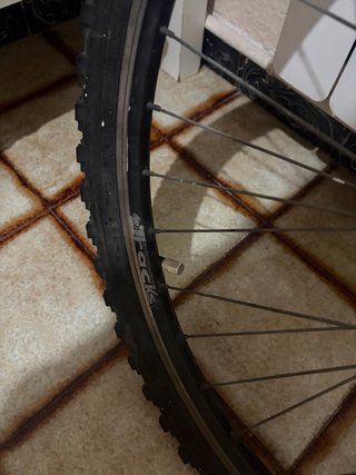 Rueda Delantera Bicicleta
