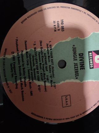 Vinilo Divine Jungle Jezebel Dance Electro