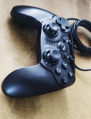 Controller cablato per Nintendo Switch