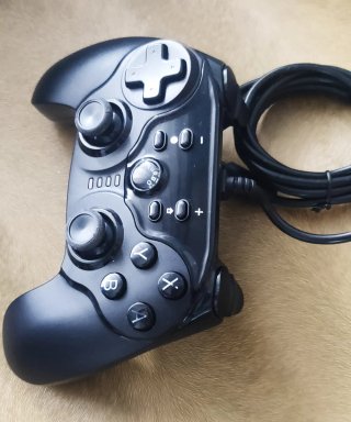 Controller cablato per Nintendo Switch