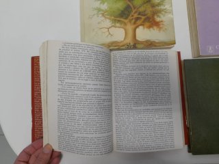 El gen egoísta. 5 libros de ciencia.