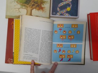 El gen egoísta. 5 libros de ciencia.